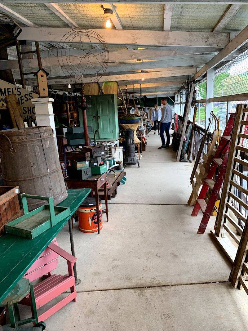 Visitor Info: What You Need to Know Before You Go