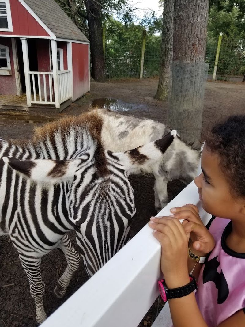 Photo Spots and Camera Tips