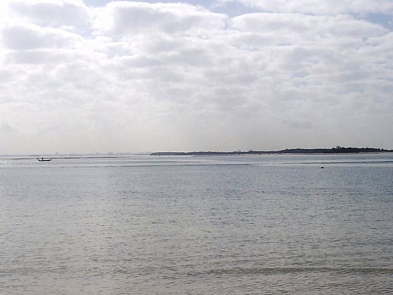 Honeymoon Island State Park