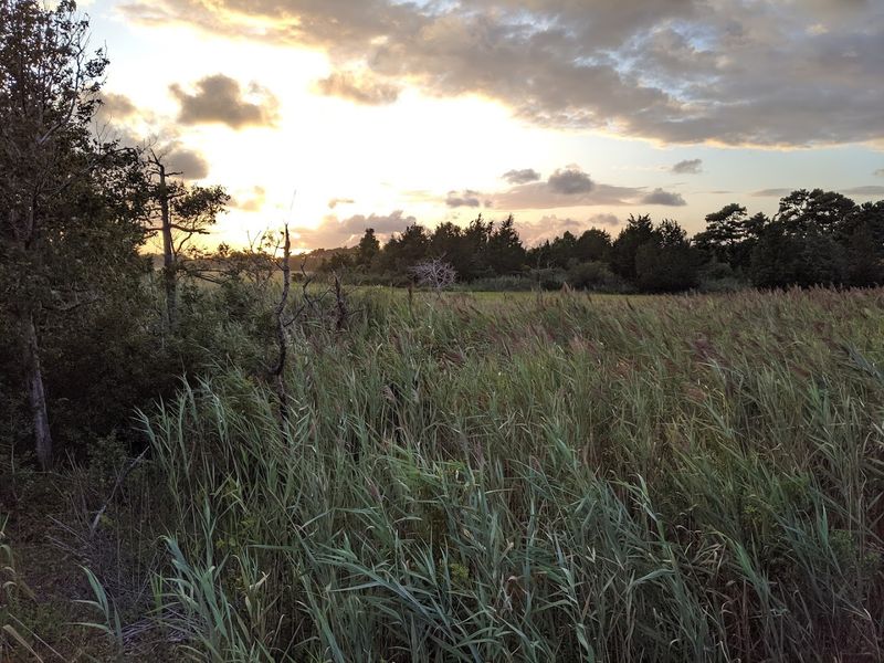 Spectacular Sunrises and Sunsets