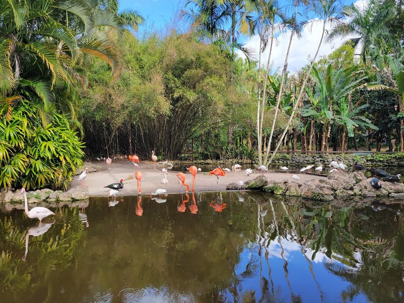 Essential Visitor Information (Hours, Tips and Best Time to Go)