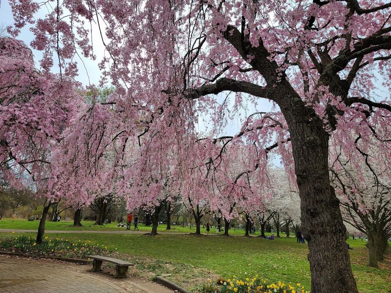 Fairmount Park &ndash; Philadelphia