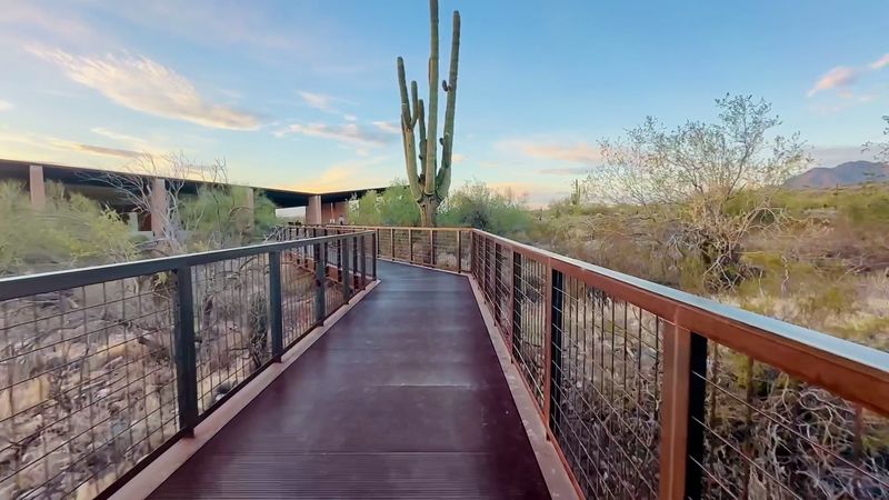 McDowell Sonoran Preserve &ndash; Scottsdale