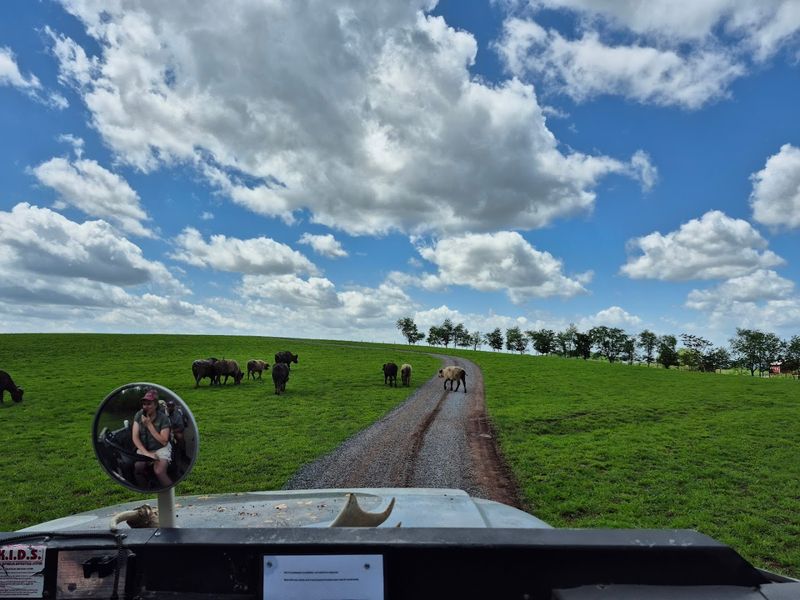 Food, Picnics, and Concession Strategies