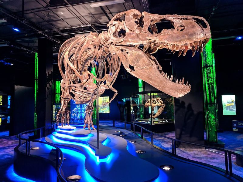 Arizona Science Center Hands-on Labs