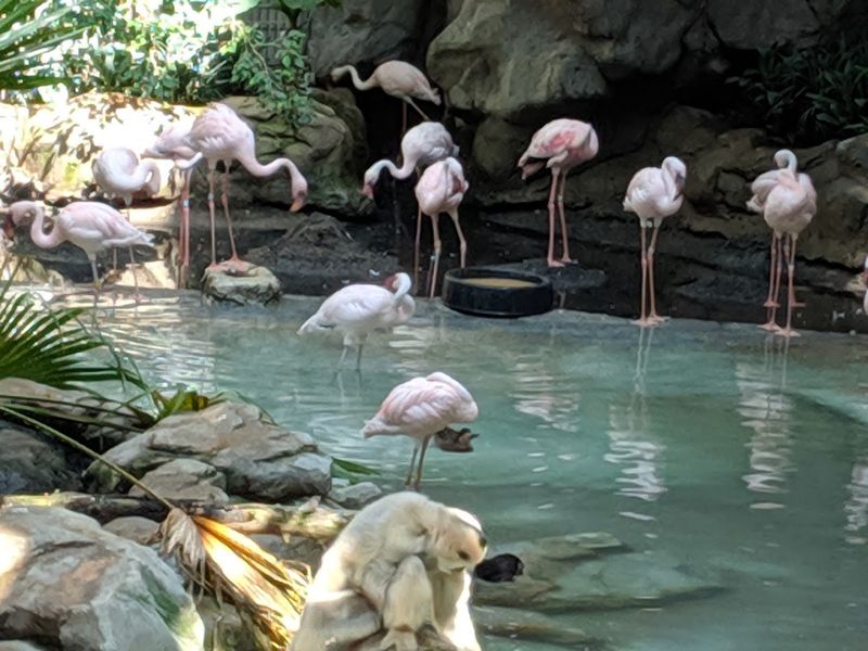 Minnesota Zoo - Apple Valley, MN