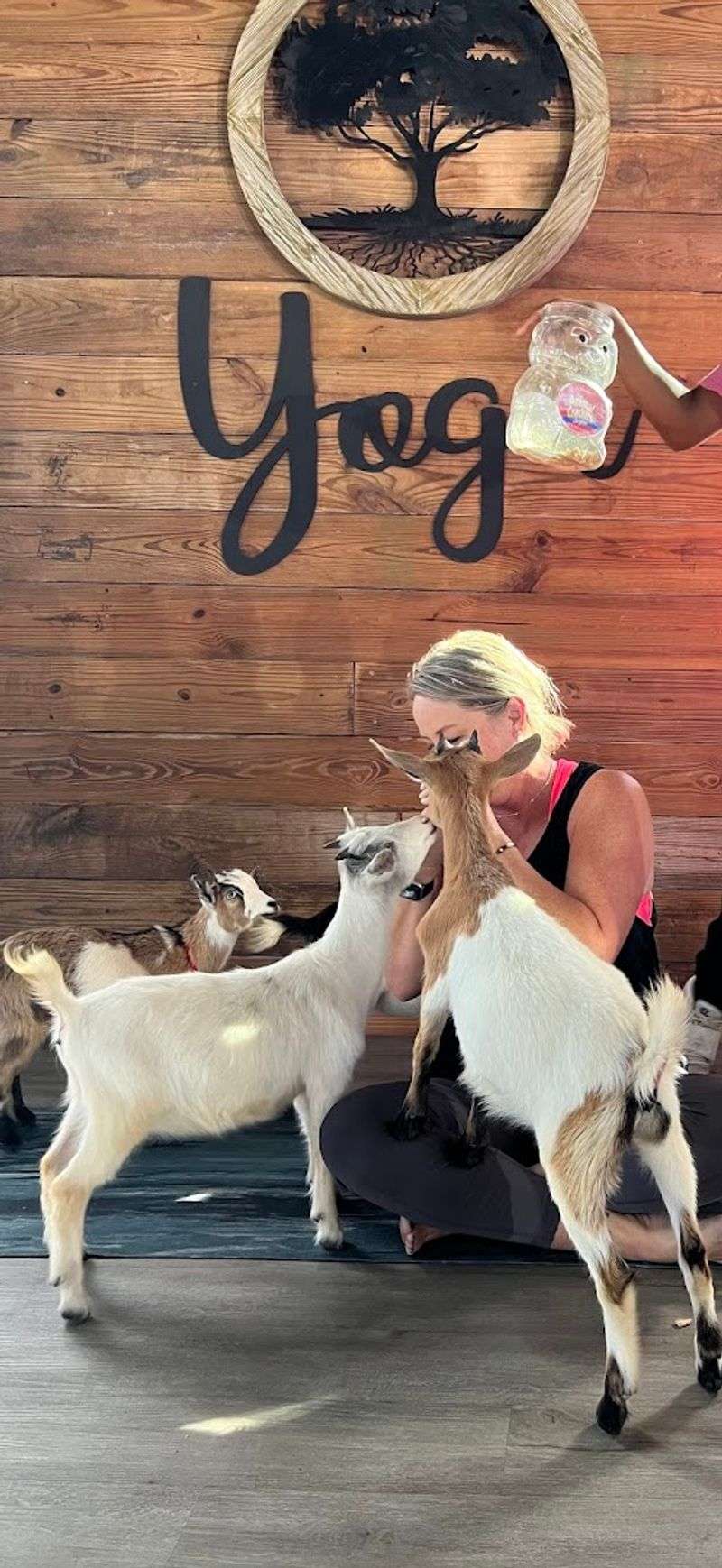 Tips For Visiting And What To Bring