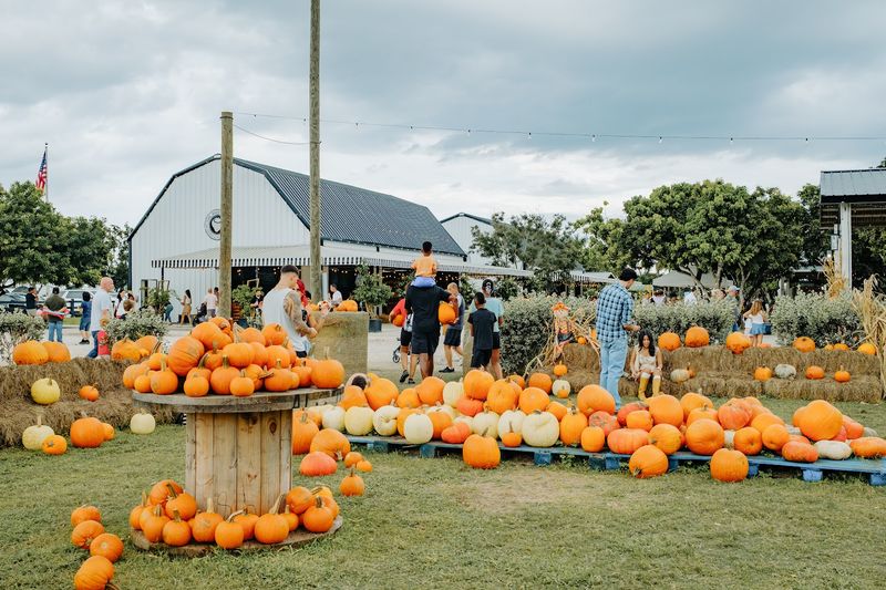 Weekday vs Weekend Game Plan