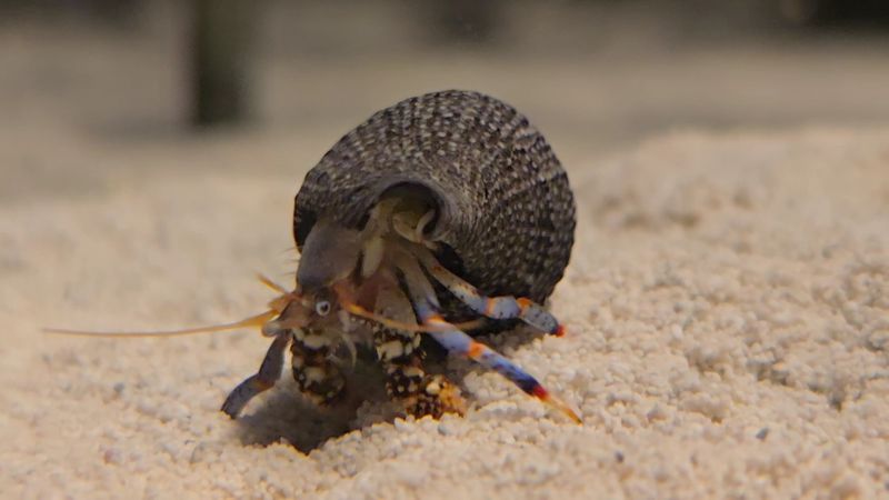 Practical Essentials: Parking, Access, Comfort