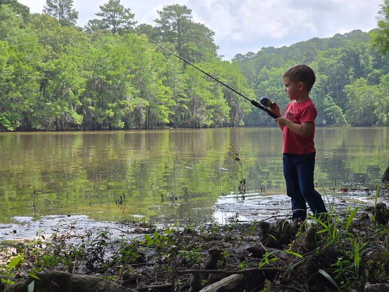 Fishing in the Caddo Lake Wetlands