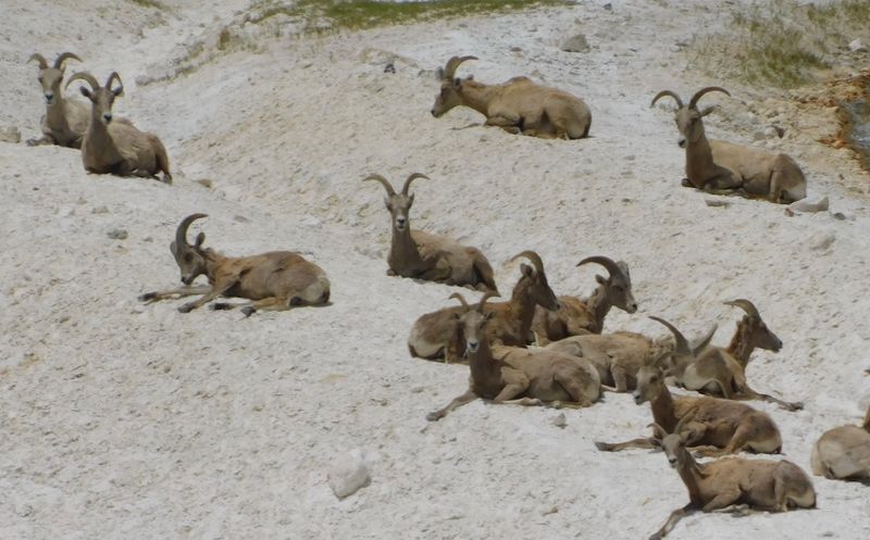 Reading The Landscape