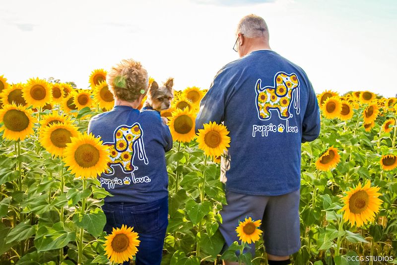 A Perfect Family Outing for All Ages