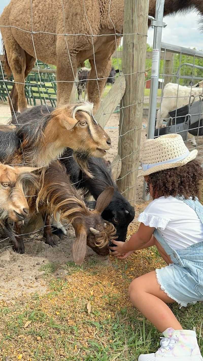 Birthday Parties And Private Events