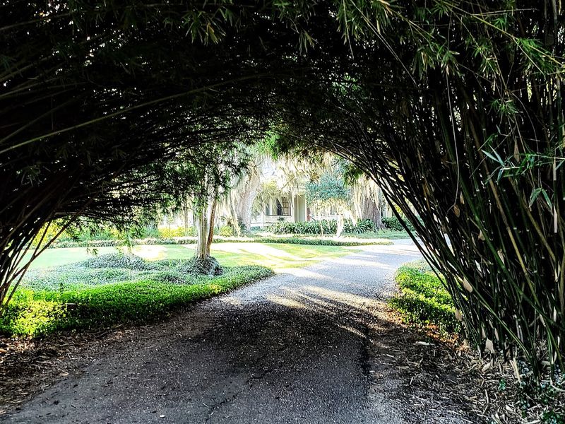 Self Guided Paths, Maps, and Wayfinding Tips