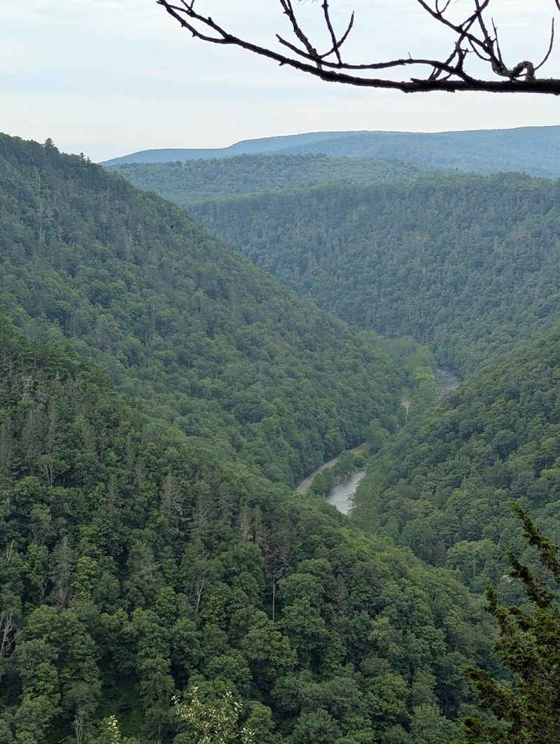 Seasonal Highlights and Timing