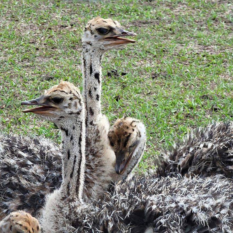 Best Time To Visit And Weather Strategy