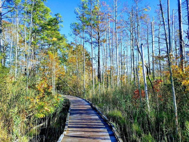 Hiking Short Trails Without Losing the Breeze