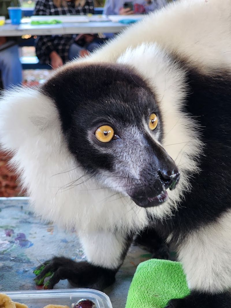 Planning Your Day in Webster