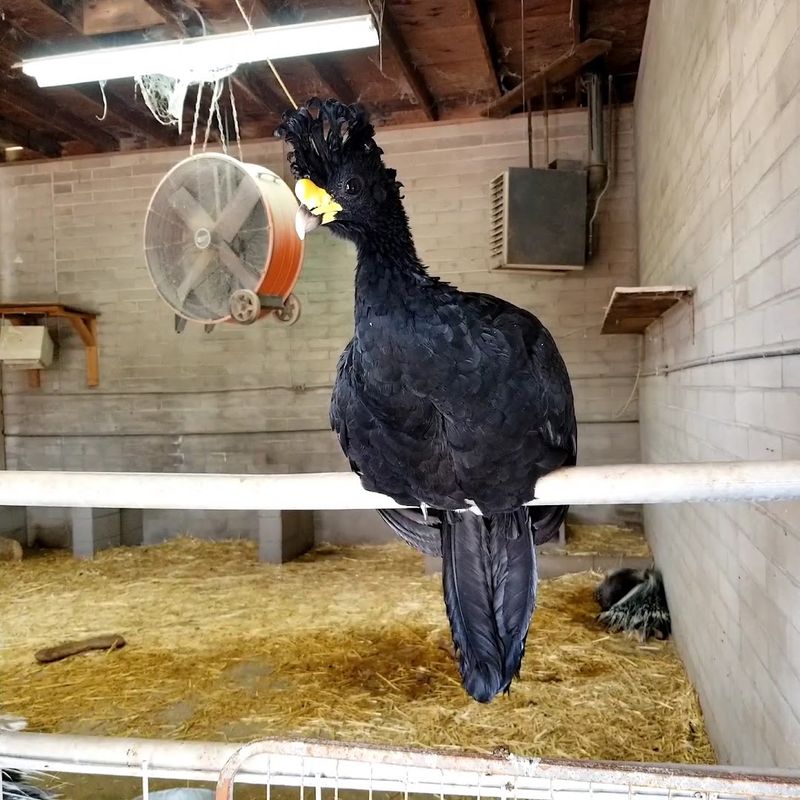 Respectful Interaction Rules