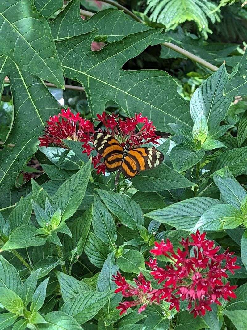 Supporting Conservation Through Your Visit