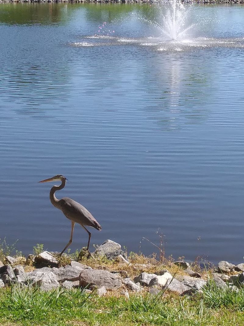 A Balance of Nature Preserve and Recreation Hub