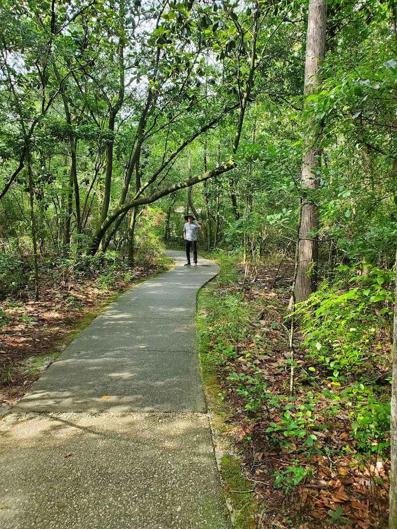 Best Times to Visit and Smart Tips