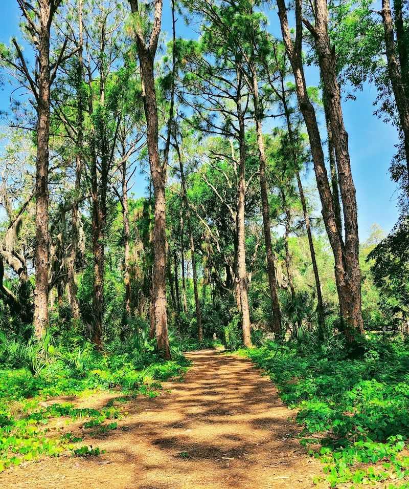 Nature Trails and Birdwatching Through Coastal Habitats