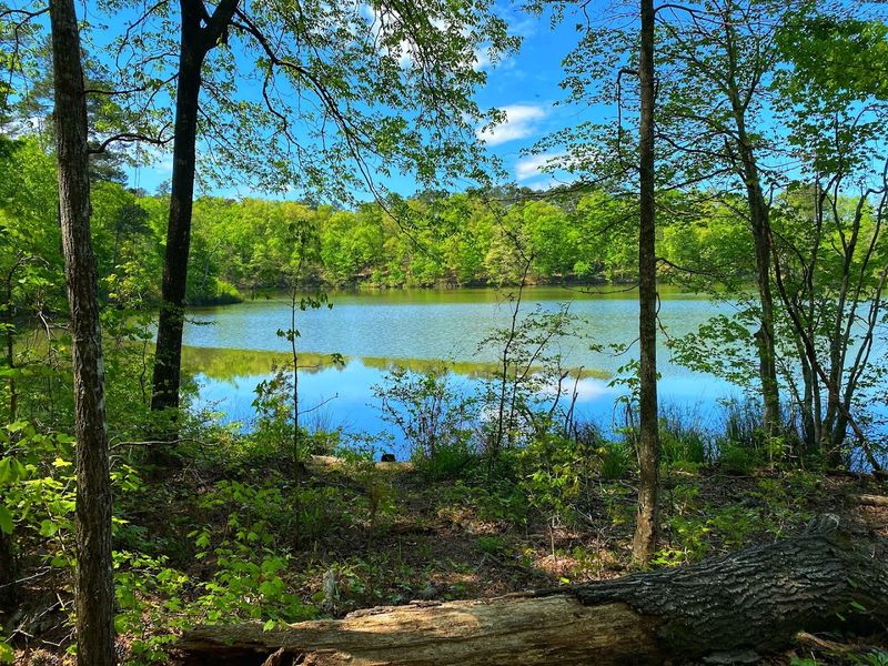 Kids&rsquo; Play Zones and Boulders