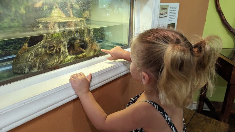 Take Part in Free Rangers Programs