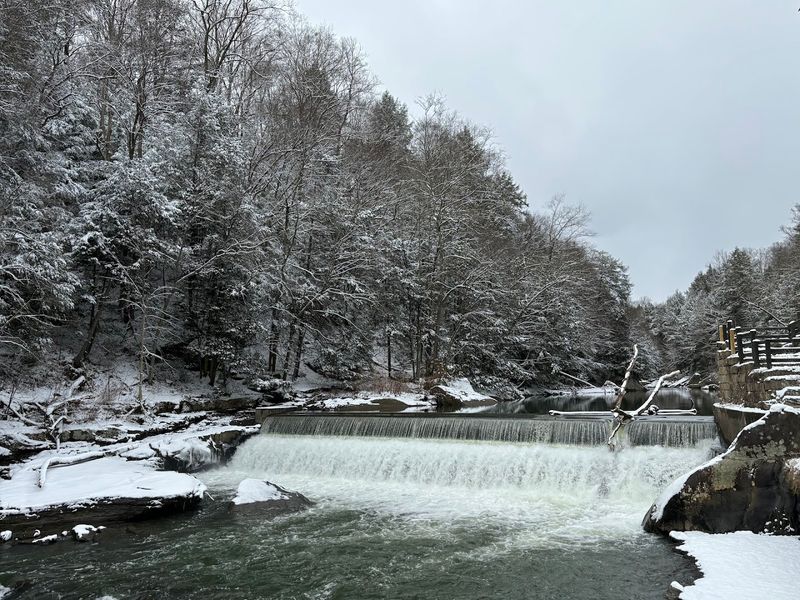 Experiencing the Park Across All Four Seasons