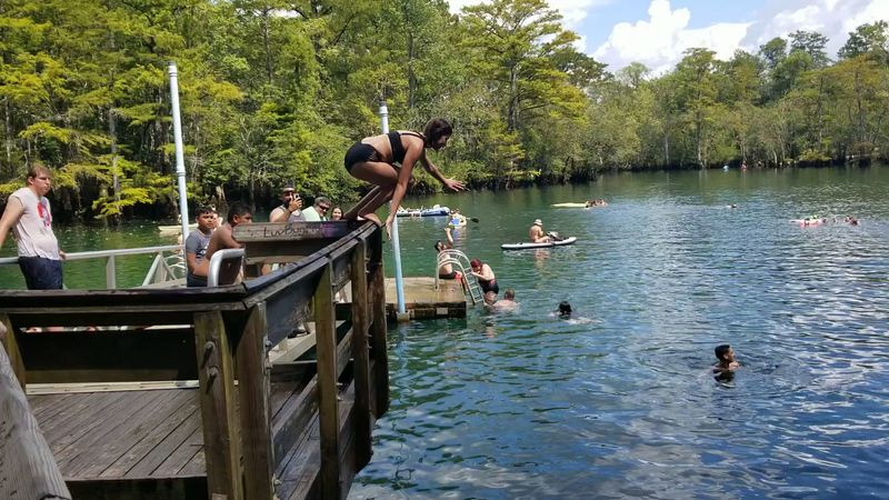 Family Friendly Planning and Little Swimmers