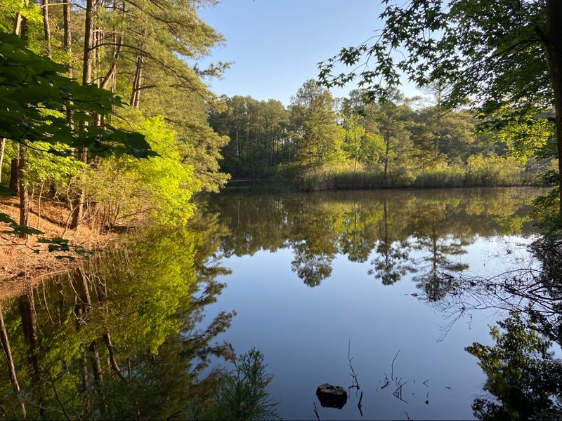 Assawoman Canal: Quiet Kayaking Spot
