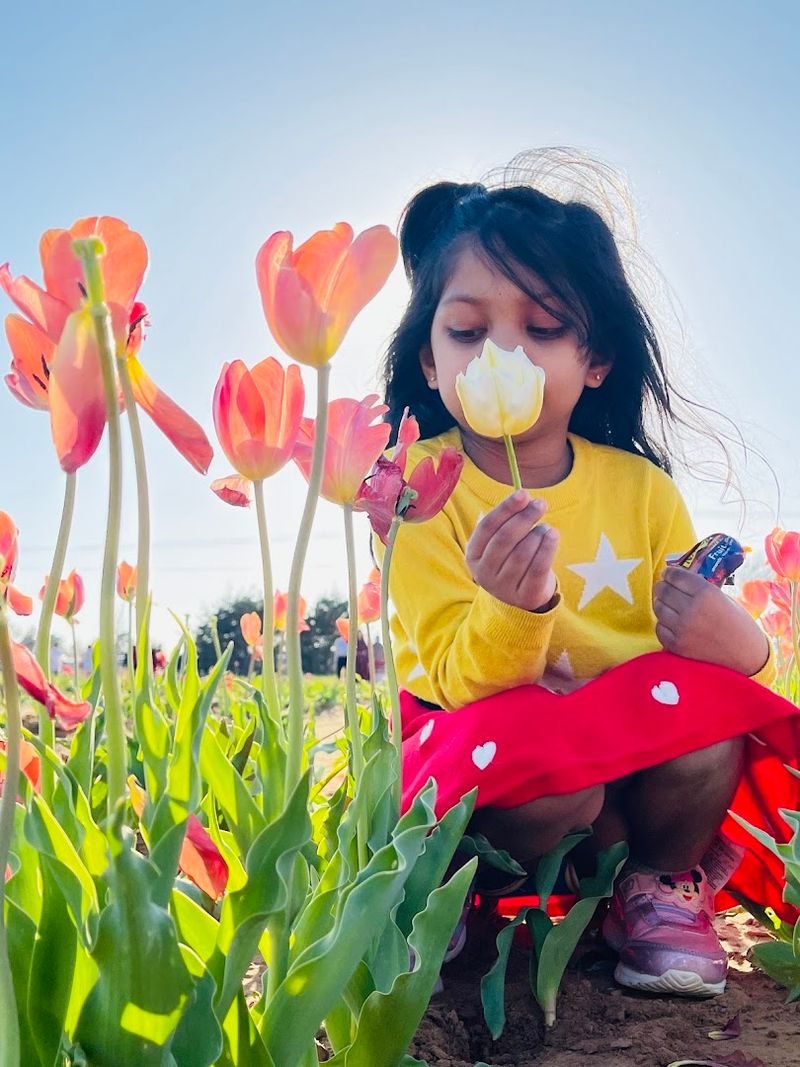 A Family-Friendly Outdoor Activity Worth the Drive