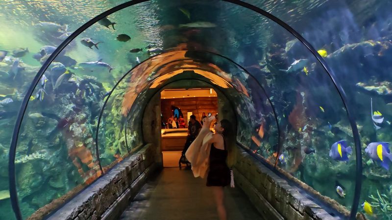 Shark Reef Aquarium at Mandalay Bay &ndash; Las Vegas
