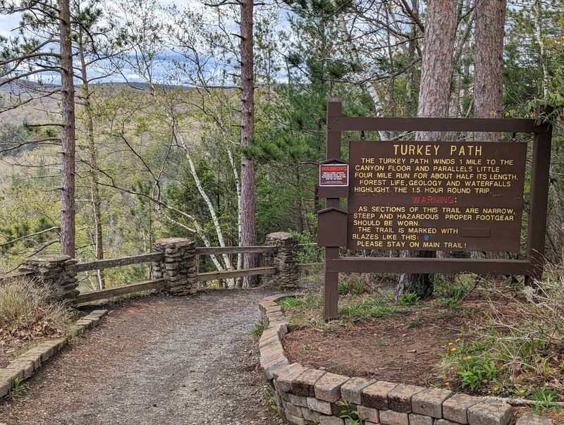 Turkey Path Trail - Leonard Harrison State Park, PA