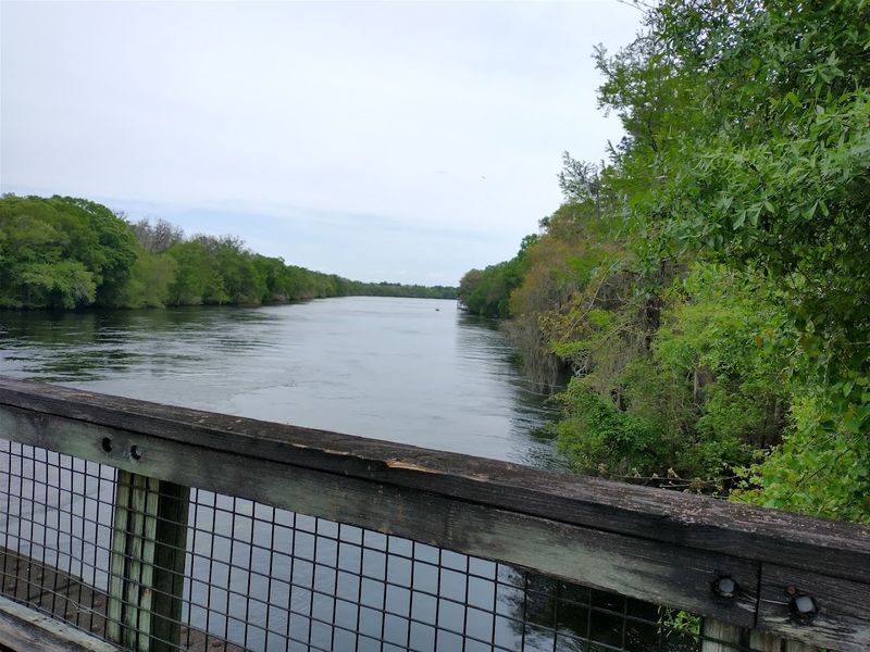 Nature Coast State Trail