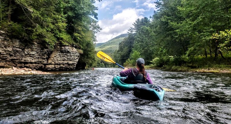 Pine Creek Itself: Swimming Holes, Kayaking, and Fishing Along the Way