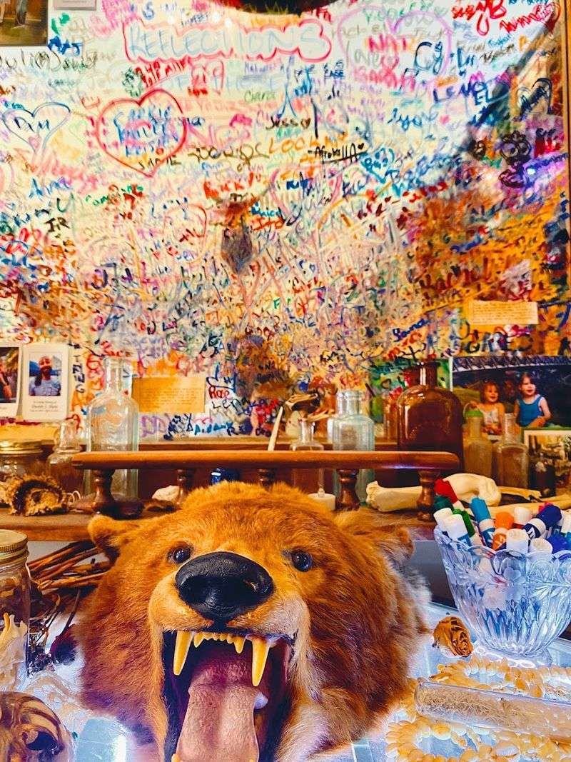 Staff, Storytelling, And Conservation Vibes