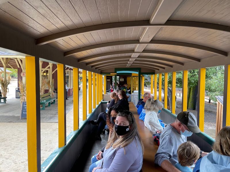 What to Expect on the Train Ride Itself