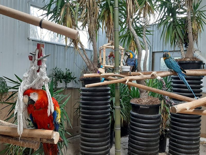 Education That Sticks