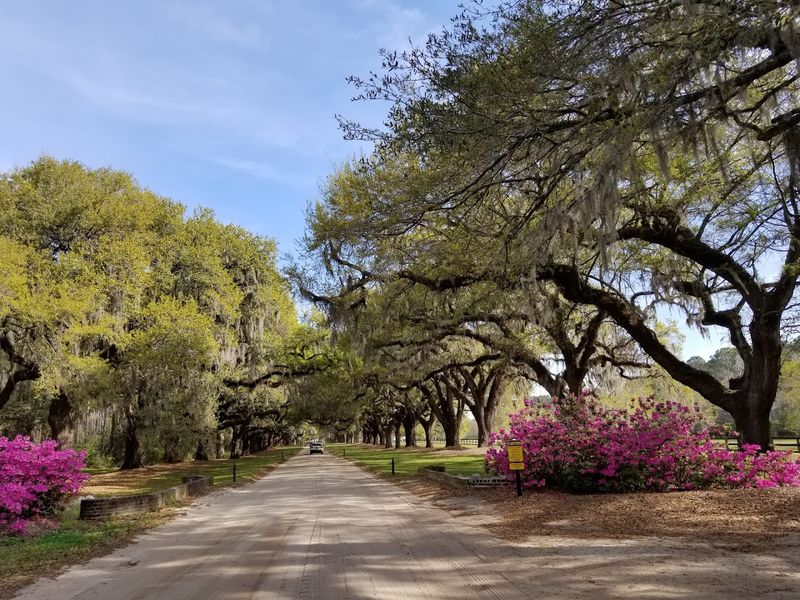 Live Oak Ecology Walk