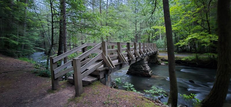 Mid State Trail Connection Day