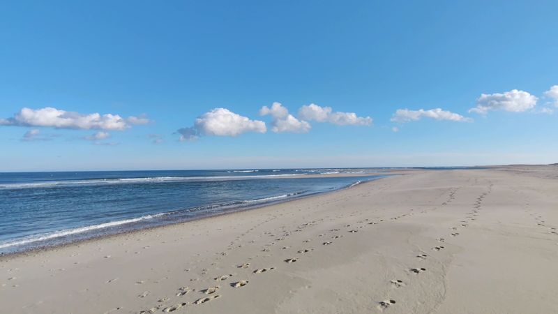Cape Cod National Seashore