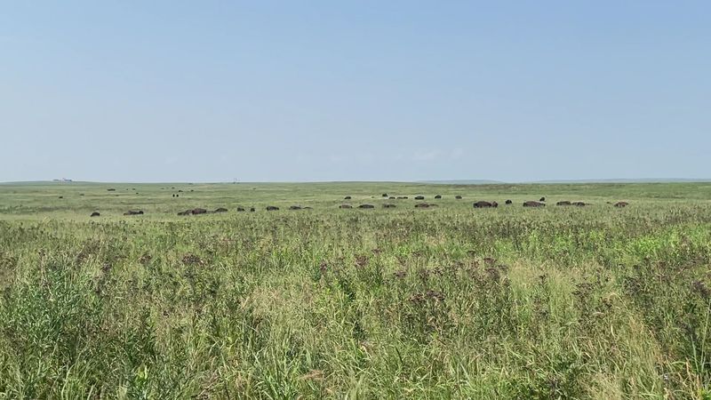 Tallgrass Prairie Preserve, Oklahoma