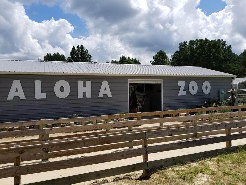 Why Aloha Safari Park Is a Hidden NC Gem Worth the Drive