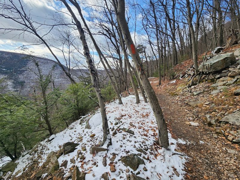 Seasonal Timing And Weather Windows
