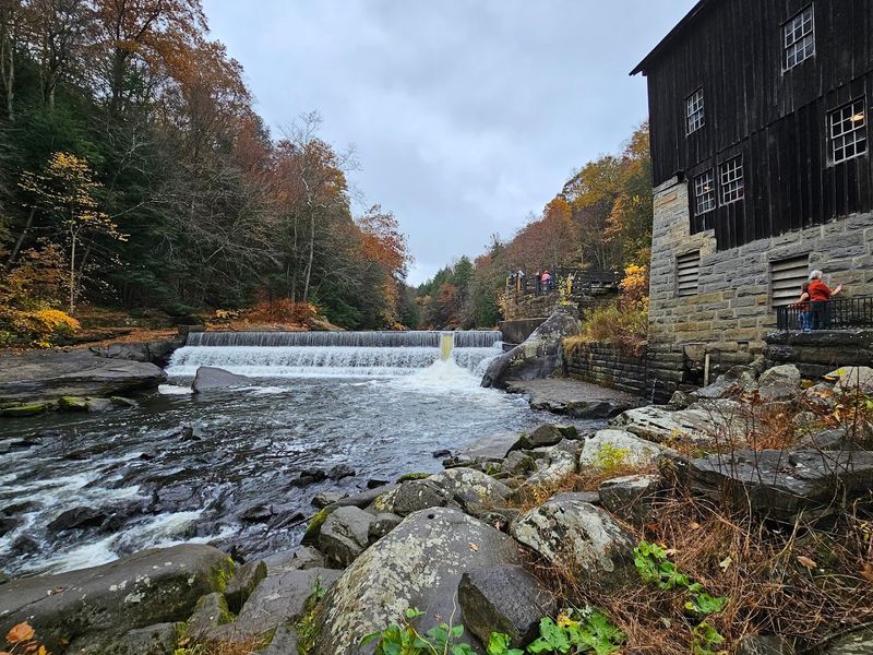 Slippery Rock Gorge Trail - Portersville, PA
