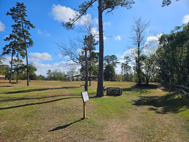 Seasonal Conditions, Decoded