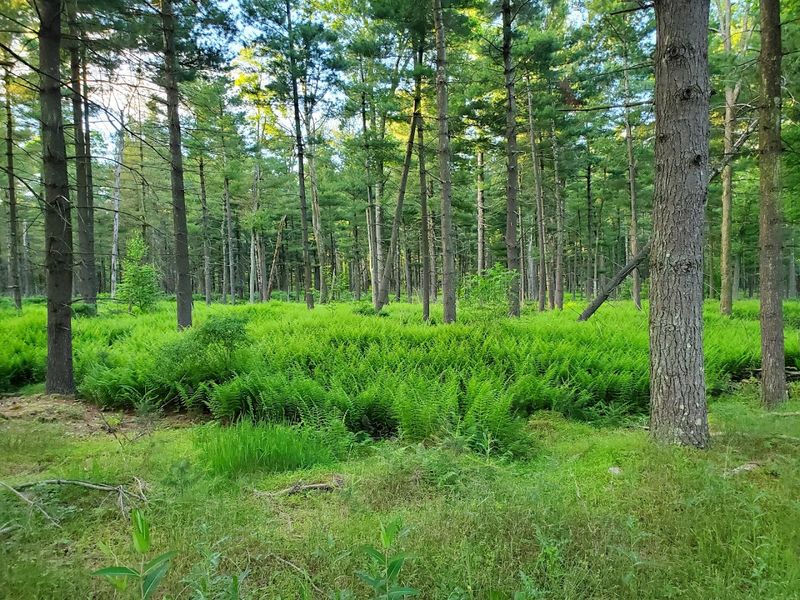 Seasonal Notes And Smart Timing