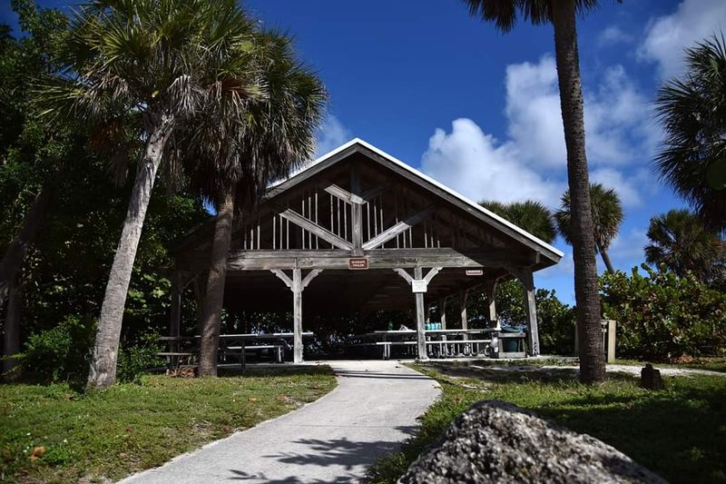 Scenic Picnic Areas Beneath Coastal Hammocks